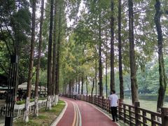 -蜀绣公园