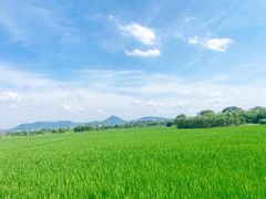 -良渚古城遗址公园