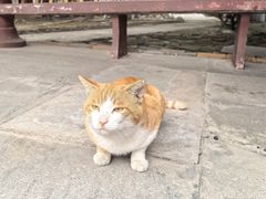 -章华寺