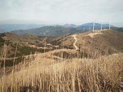 -东白山