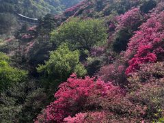 -木兰云雾山