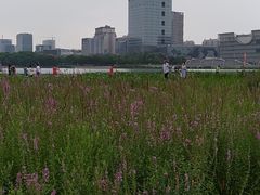 -嘉定凯悦·咖啡厅