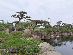 -罗红摄影艺术馆