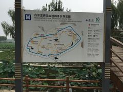 -白洋淀景区