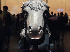 -广西壮族自治区博物馆