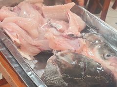 -大江美蛙鱼火锅(都江堰店)