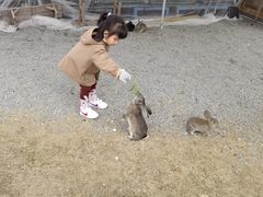 -菊园百果园