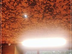 大堂-星平鸡饭·粤菜小炒(印象城旗舰店)