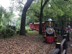 -共青国家森林公园-售票处