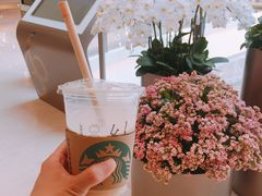-星巴克(恒隆广场店)