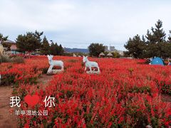 -羊亭河湿地公园