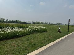 -汉长安城未央宫国家考古遗址公园