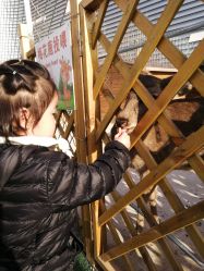 -萌宠亲子动物乐园(槐房万达店)