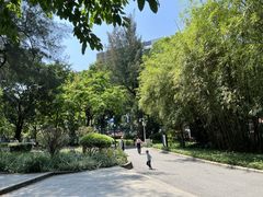 -晓港公园