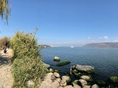 -才村湿地公园
