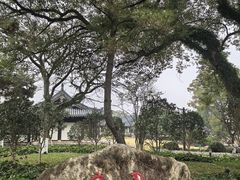 -江心屿景区