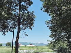 -良渚古城遗址公园