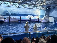 -渔岛海洋度假区