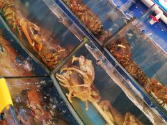 -渔中舟海鲜大排档(普陀沈家门店)