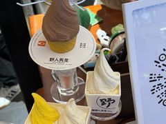 -野人先生Gelato(上海长宁龙之梦店)