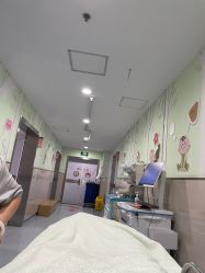 -上海市嘉定区妇幼保健院