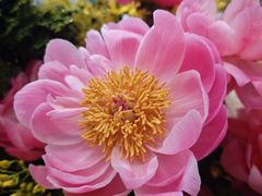-友谊阳光城