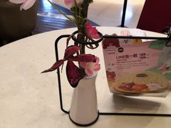 -哈根达斯(卓展店)