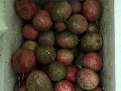 -昆明东站水果交易市场