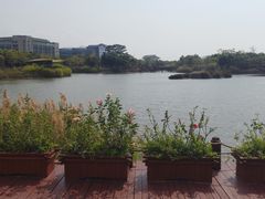 -福田红树林生态公园