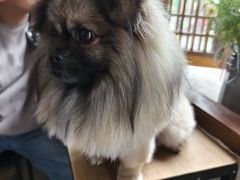 -铁炉咖啡(河下古镇店)