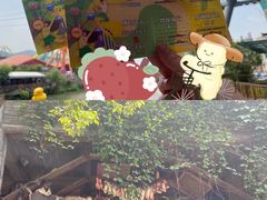 -杭州乐园