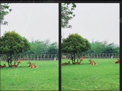 -良渚古城遗址公园