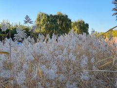 -中关村生命科学园