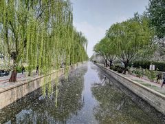 -元大都城垣遗址公园