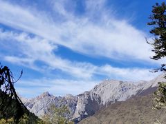 -黄龙山原始森林景区