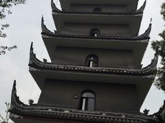 -生宇山珍野生菌汤锅•始于1999(双流古塔店)