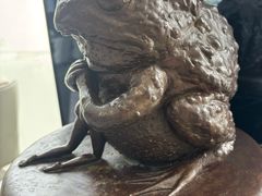 -北京盈之宝宝马&MINI4S店(望京店)