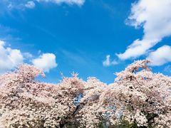 -四季餐厅