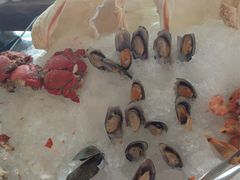 -视界美食自助餐厅·石家庄希尔顿酒店