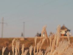 -大蜀山国家森林公园