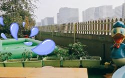 -可可天空农场(中大店)