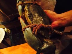 -Ministry of Crab(科伦坡店)