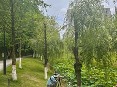 -沐仙湖湿地公园