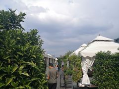 -小河盐帮·私家菜·烤鸭(三元桥·霄云路店)