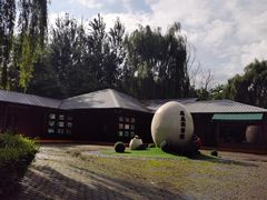 -沈阳鸟岛