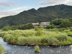 -蒋氏故居