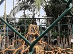 -西双版纳傣族园