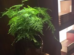-足本纪·足道 SPA 简餐 小吃(文三西路店)