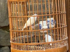 -汤厨(五道营店)