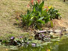 -人民公园(罗湖区)